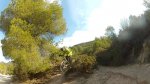 miguell 4_800x450.jpg