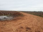2013-02-17 10.52.04.jpg