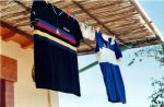 le coq sportif.jpg
