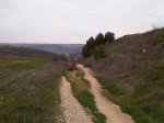 IMG00020-20130217-1318.jpg