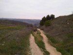 IMG00021-20130217-1318.jpg