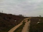 IMG00022-20130217-1318.jpg