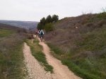 IMG00023-20130217-1318.jpg