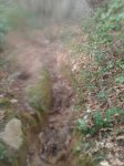 2013-02-17 14.18.25.jpg