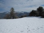 IMG_0103.JPG