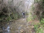 IMG_0110.JPG