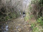IMG_0116.JPG