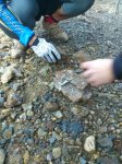 IMG-20130217-WA0003.jpg