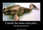 ImageUploadedByTapatalk1361172676.609385.jpg