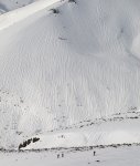 IMG_5531.jpg