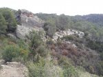 20130218_124555.jpg