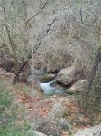 20130218_134008.jpg