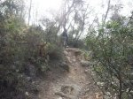 foto13.jpg