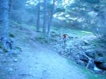 P0000047_redimensionar.JPG