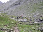 DSCN2279comprimida.JPG