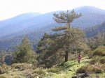DSCN2616.JPG