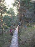 DSCN2622.JPG