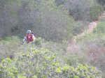 IMG_3655 (Copiar).JPG