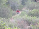 IMG_3656 (Copiar).JPG
