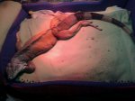 IMG-20121122-WA0000.jpg