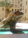 2012-06-13 17.16.56.jpg