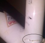 IMG-20130215-00047.jpg