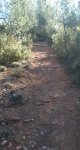 escalones.jpg