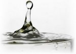 gota-q-rebalsa.jpg