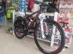 Orbea Master Alma H29.2.JPG