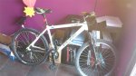bici.jpg