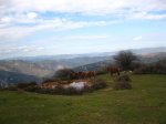 IMG_4167 (Copiar).JPG