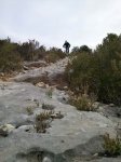 IMG-20130216-WA0005.jpg