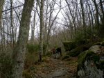 16 02 013 023.jpg