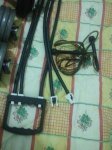 2013-02-21 19.34.06.jpg