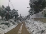 DSC_0705.jpg