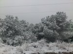 DSC_0712.jpg