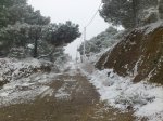 DSC_0723.jpg