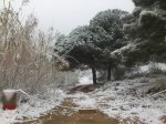DSC_0727.jpg