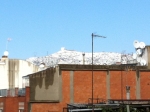 IMG_0432_518x387.png