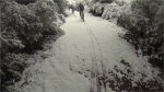 GOPR0014.MP4 (0_00_50) 000044.jpg