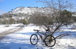 DSCN4546.JPG