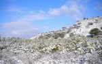 DSCN4552.JPG