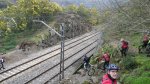 IMGP6731 (Copiar) (Copiar).JPG
