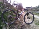 IMG_20130209_110204.jpg