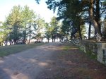 P1120821_800x600.jpg