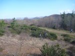 P1120842_800x600.jpg