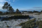 IMG-20130223-WA0007.jpg