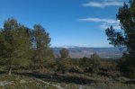 IMG-20130223-WA0009.jpg