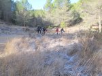 IMG_3668 (Copiar).JPG