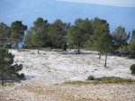IMG_3674 (Copiar).JPG
